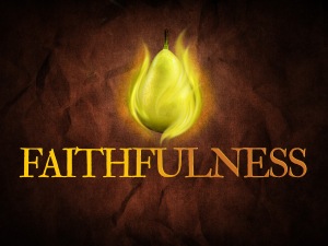 faithfulness_std_t_nv